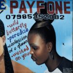 PAYFONE - Wild Butterfly