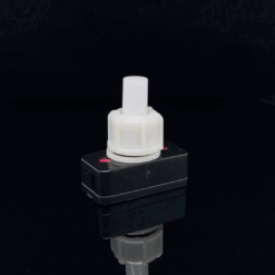 On/Off Through Switch (250V / 2A)