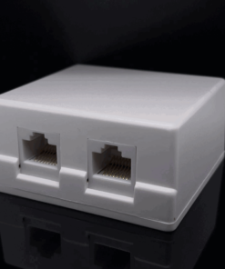 RJ45 2-way Keystone Female Connector Box (Wall Mounted)
